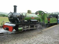 IMG_2263 (Medium)